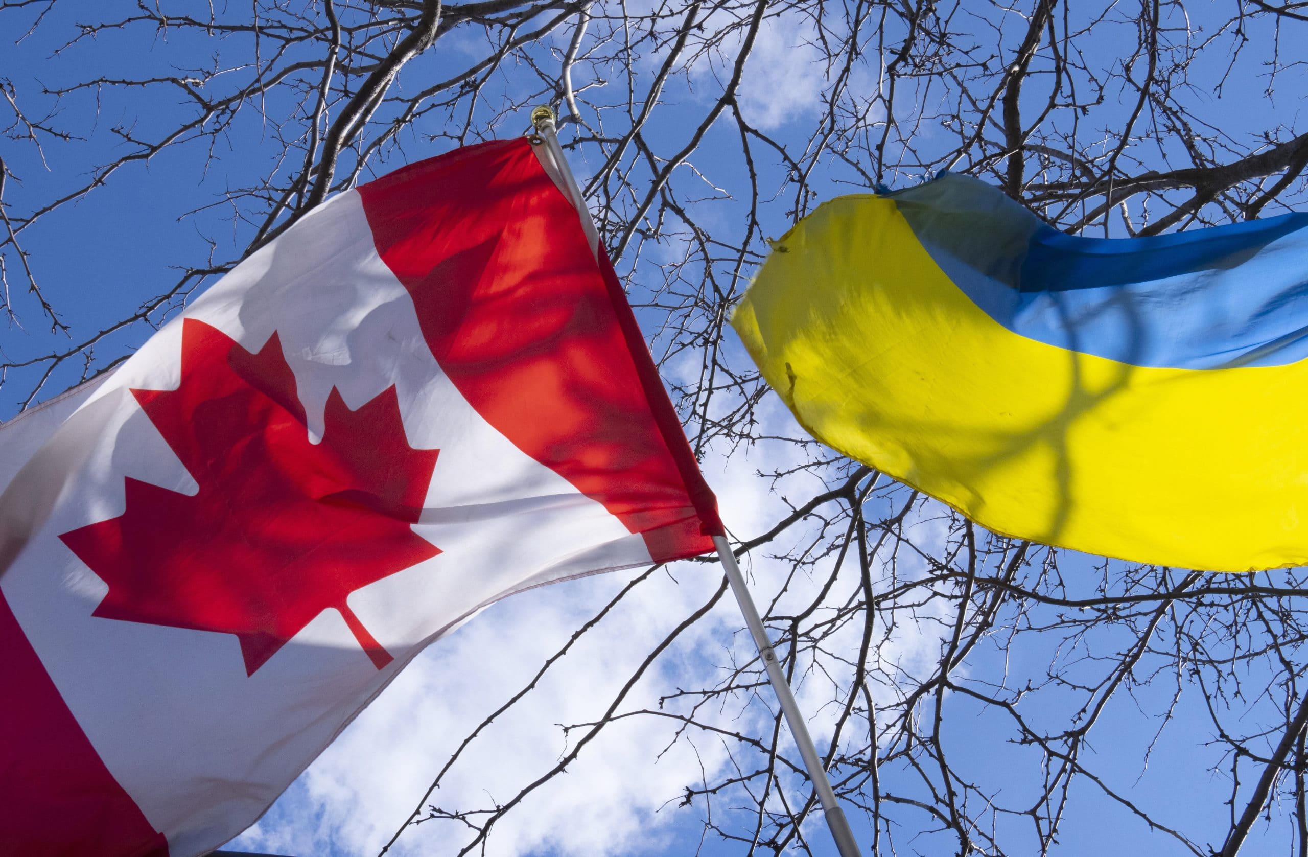 Канада открывает двери для украинцев: постоянное проживание и поддержка семей